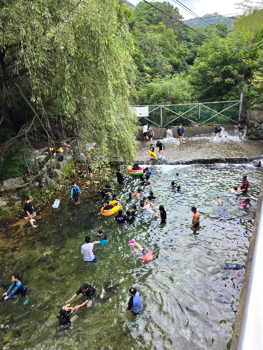 수목원다리에서 내려다본 계곡모습