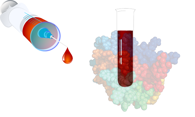 혈액순환 개선제 효과 12