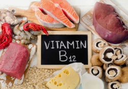 부모님 영양제 추천 영양소 비타민12