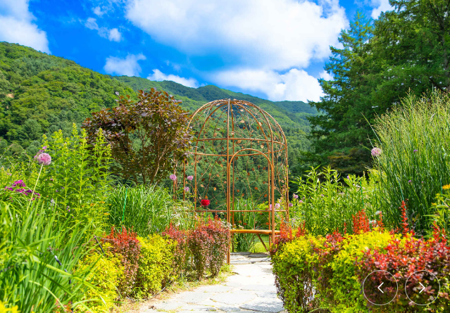 아침고요수목원