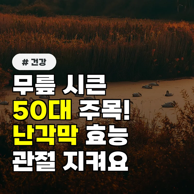 무릎 시큰거리는 50대 주목! DEM 난각막이 관절 건강에 좋은 이유