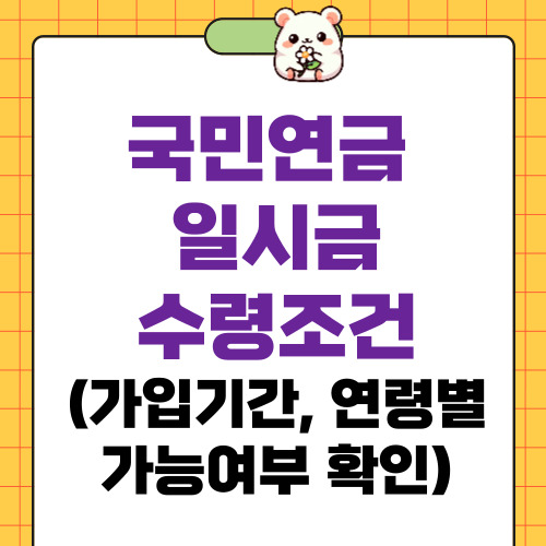 국민연금 일시금 수령조건