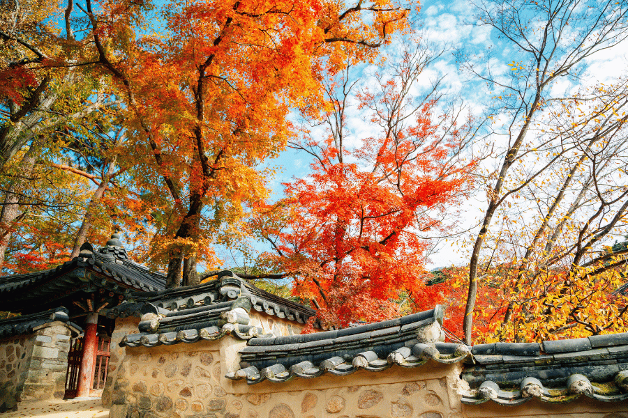 경주 한옥마을 1박2일 여행 가이드