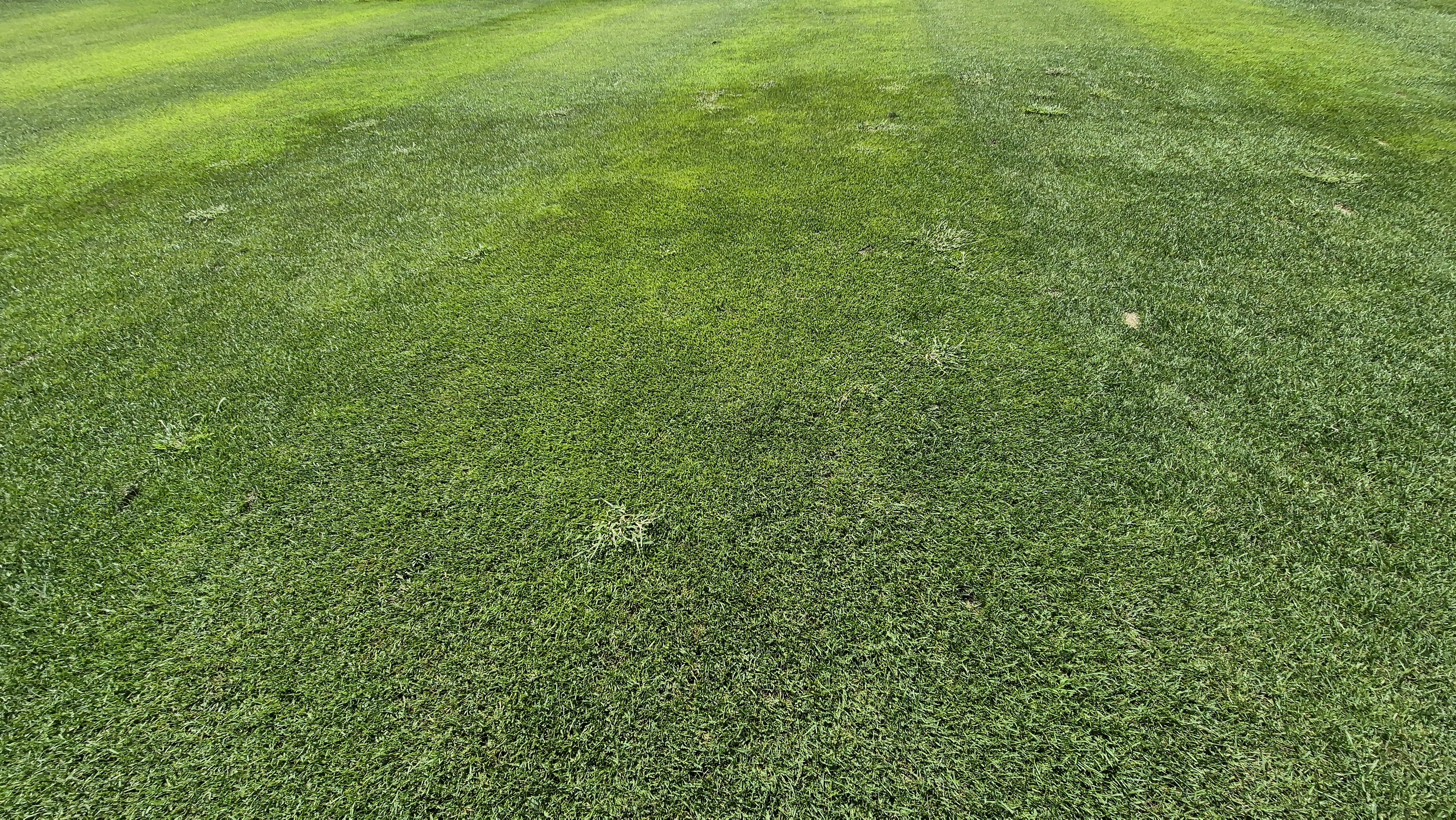 마론cc 라운드 후기