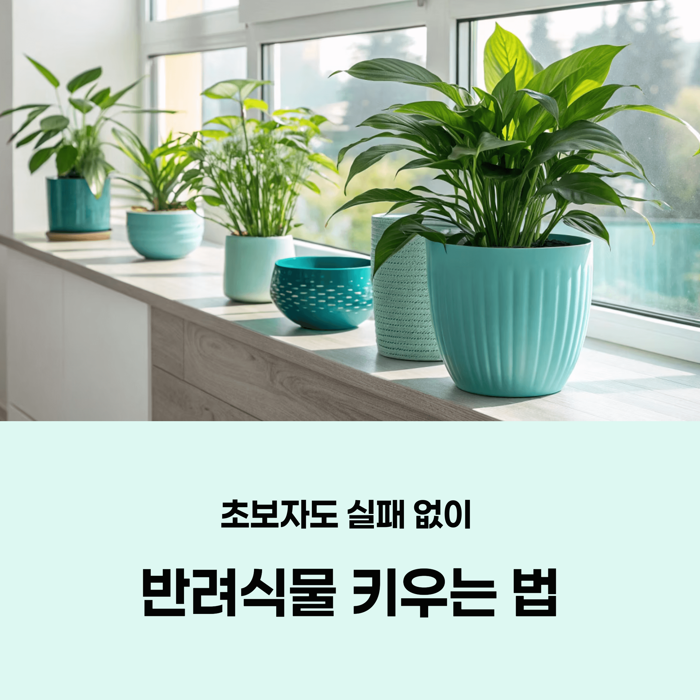 반려식물