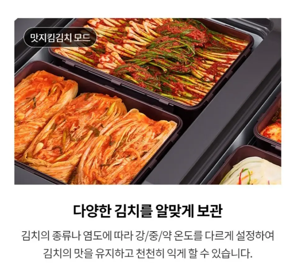 사진12