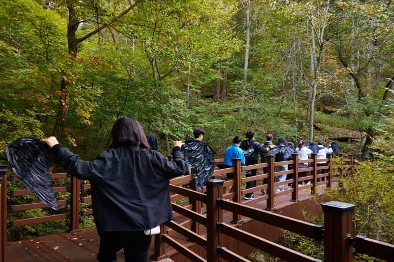 자연 치유 관점에서 바라본 피부 재생과 자연요법