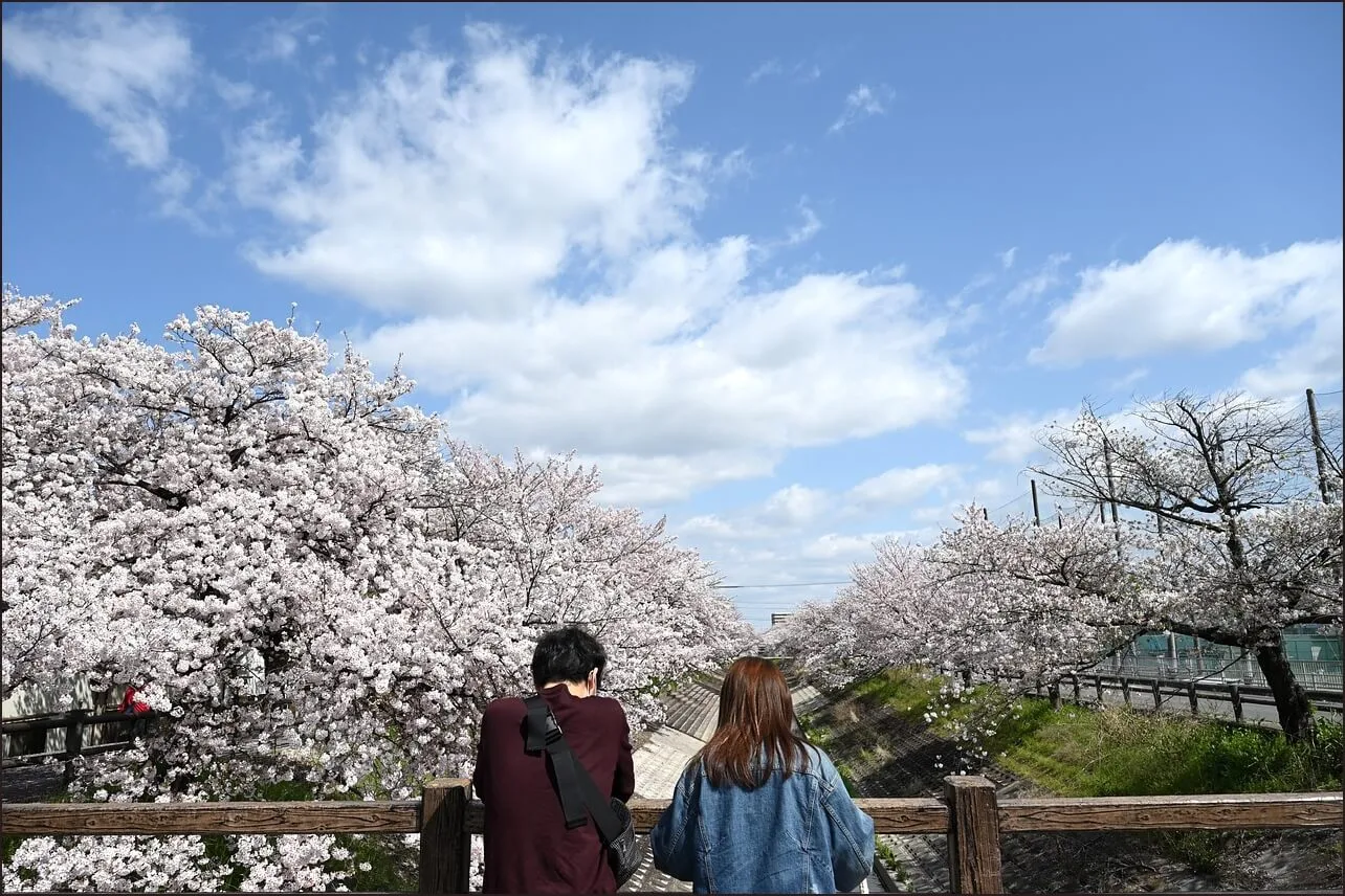 가족관계증명서 상세