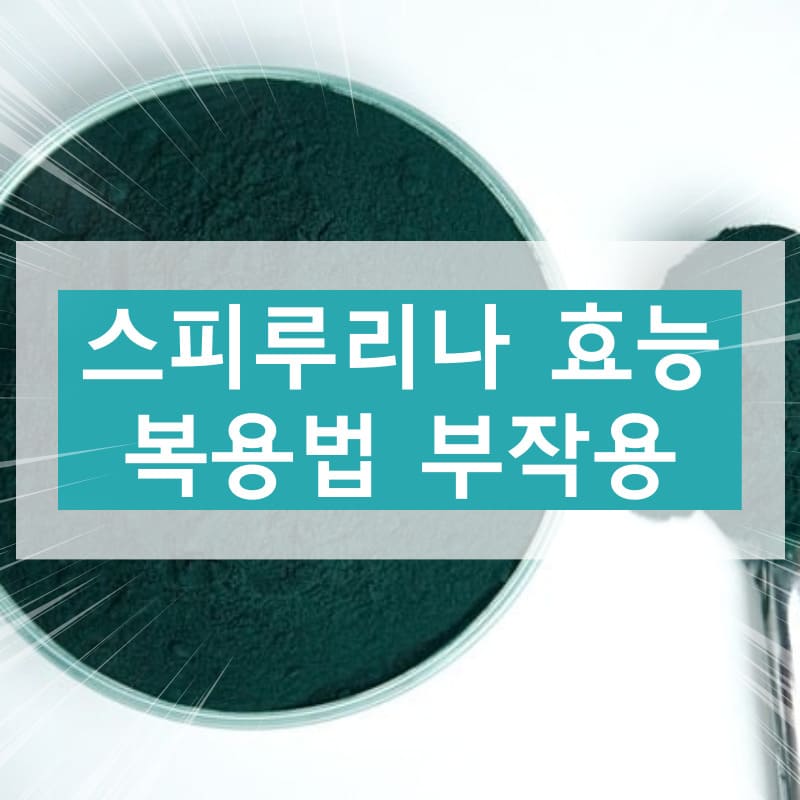 스피루리나에 대하여
