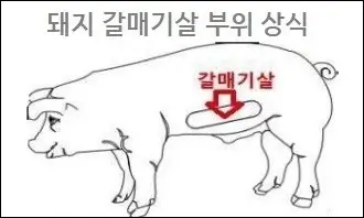 돼지 갈매기살 부위 상식