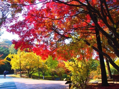 가을 단풍 명소