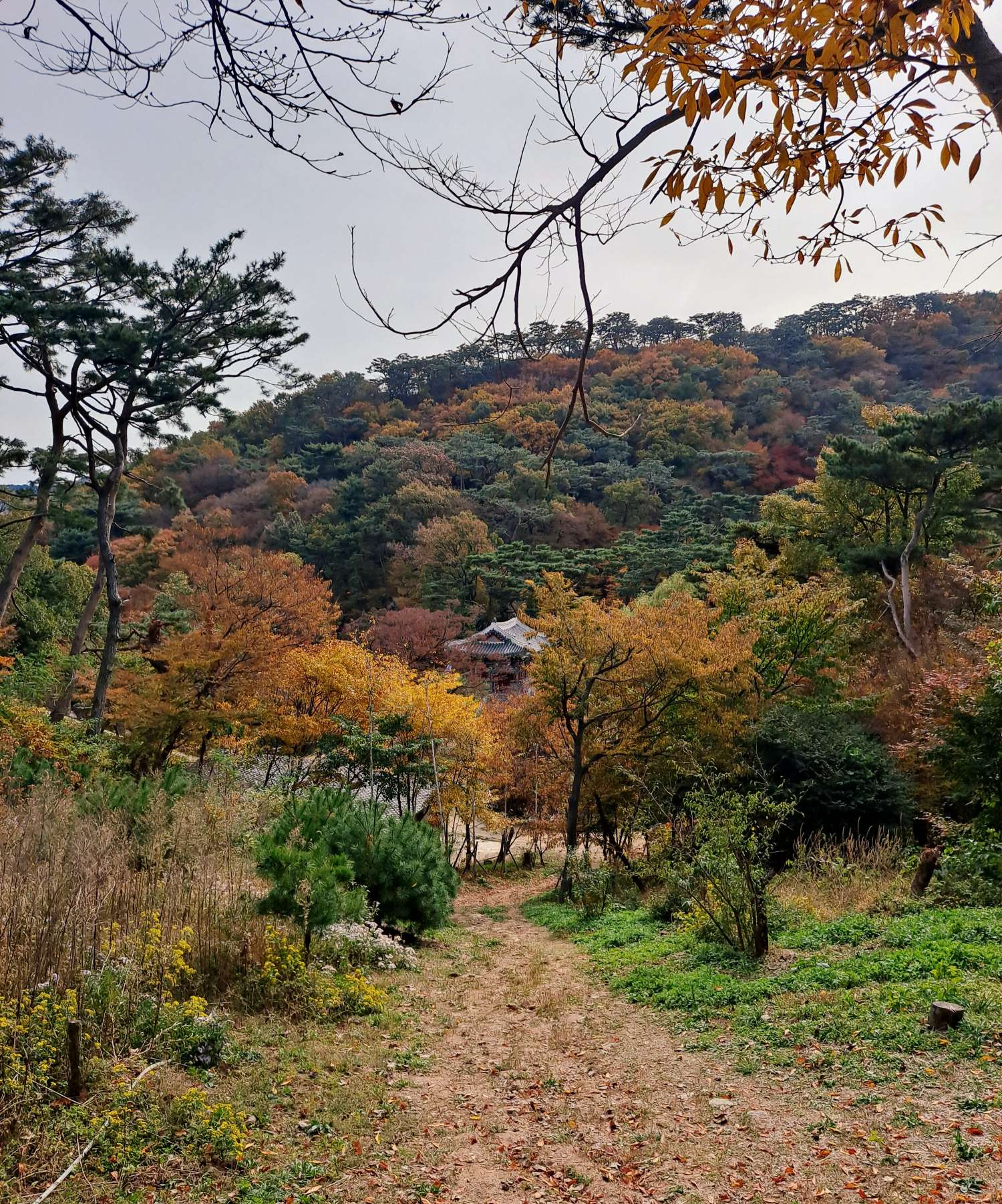 전등사는 이미 울긋불긋