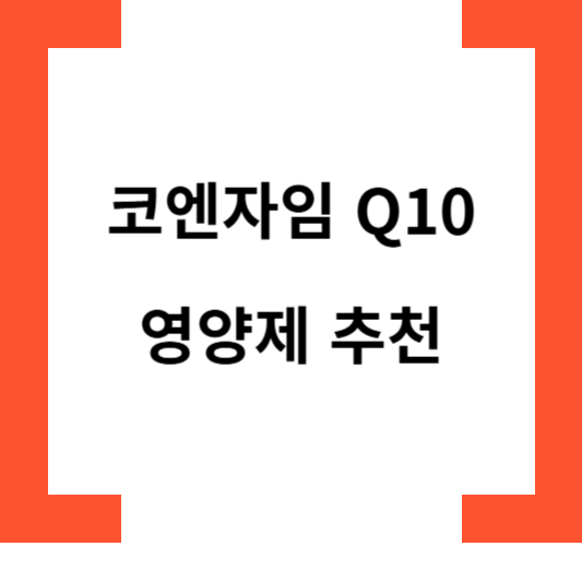 코엔자임Q10영양제추천