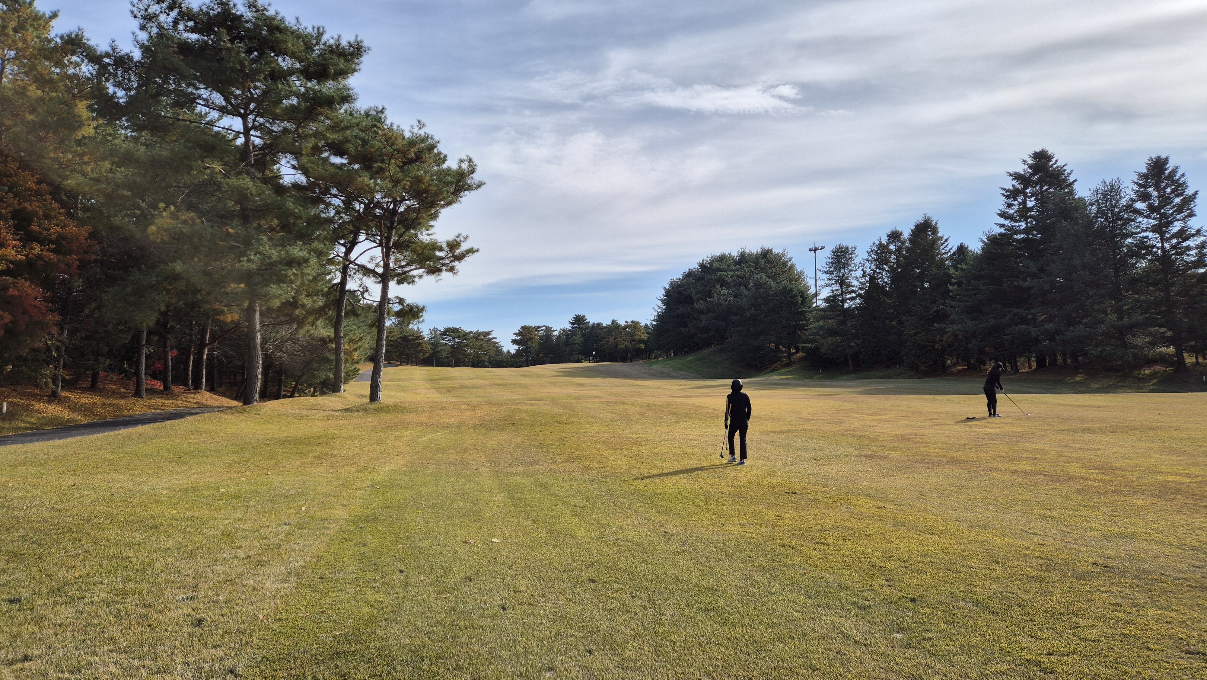 세종에머슨cc 밸리코스 사진 및 공략 정보