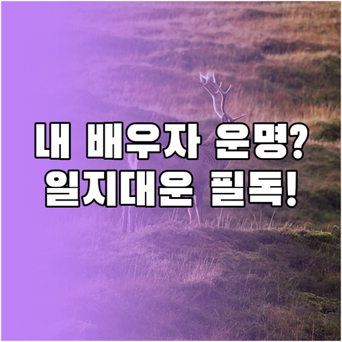 사주 일지와 대운으로 예측하는 배우자..