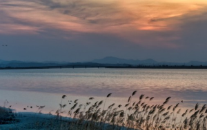 경기도 차박하기좋은곳 TOP 10곳