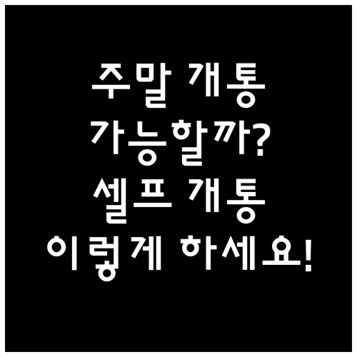 알뜰폰 주말 개통 가능 시간과 셀프 ..