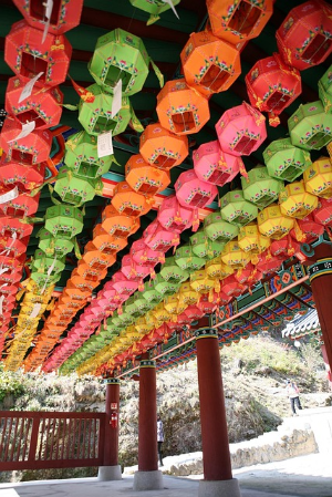 부산 삼광사 연등축제