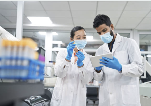 Audit에서 가장 자주 공격받는 bioanalysis 코멘트 문장들