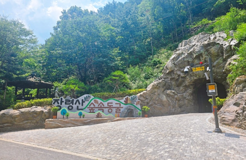 장령산