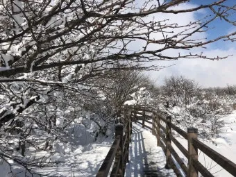 한라산 고지대 체감온도 방풍 재킷 스틱 준비물_14