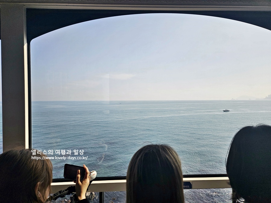 부산 여름 여행 필수! 시원한 야외 장소 BEST 5 추천 가볼만한곳