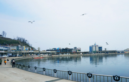 대포항3