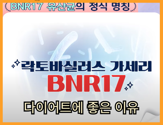 비엔알 17유산균, bnr17 유산균, 비앤날씬 유산균