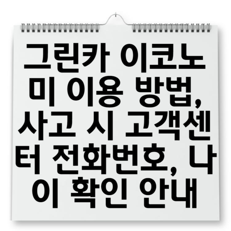 그린카 이코노미 이용 방법, 사고 시 고객센터 전화번호, 나이 확인 안내