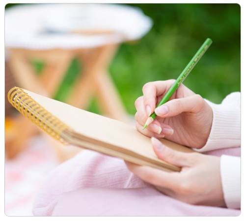 강원 세계산림엑스포