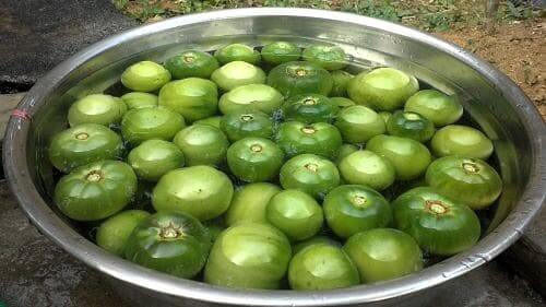 청토마토-토마토장아찌-만드는법-손질하기-세척하기