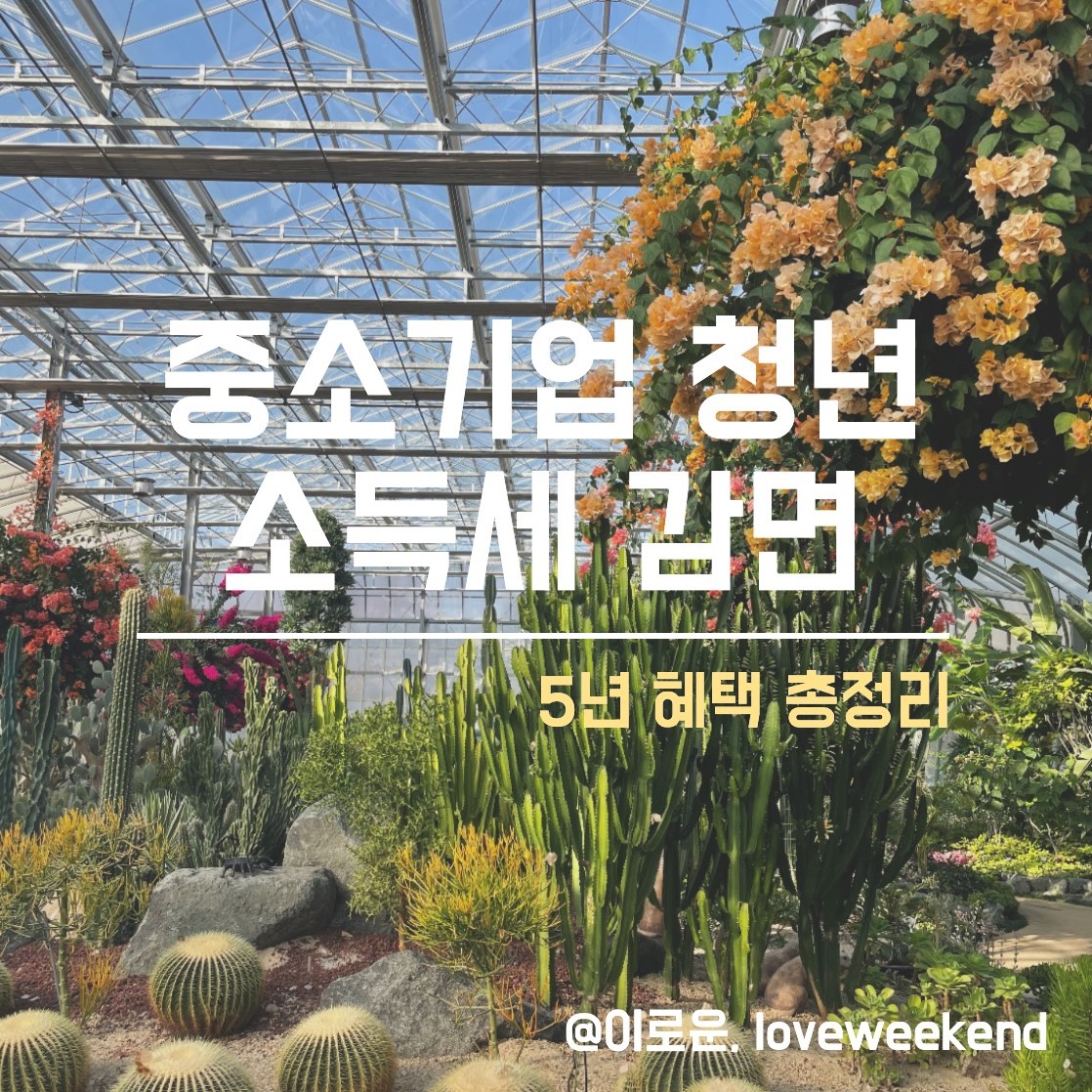 이 방법 모르면 손해! 중소기업 청년 소득세 감면 5년 혜택 총정리