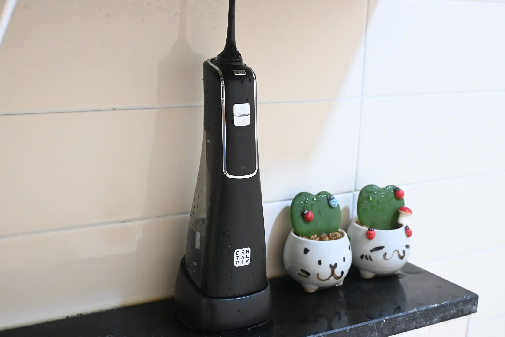 구강세정기 덴탈픽 DP-2300K 사용 후기 사진 18