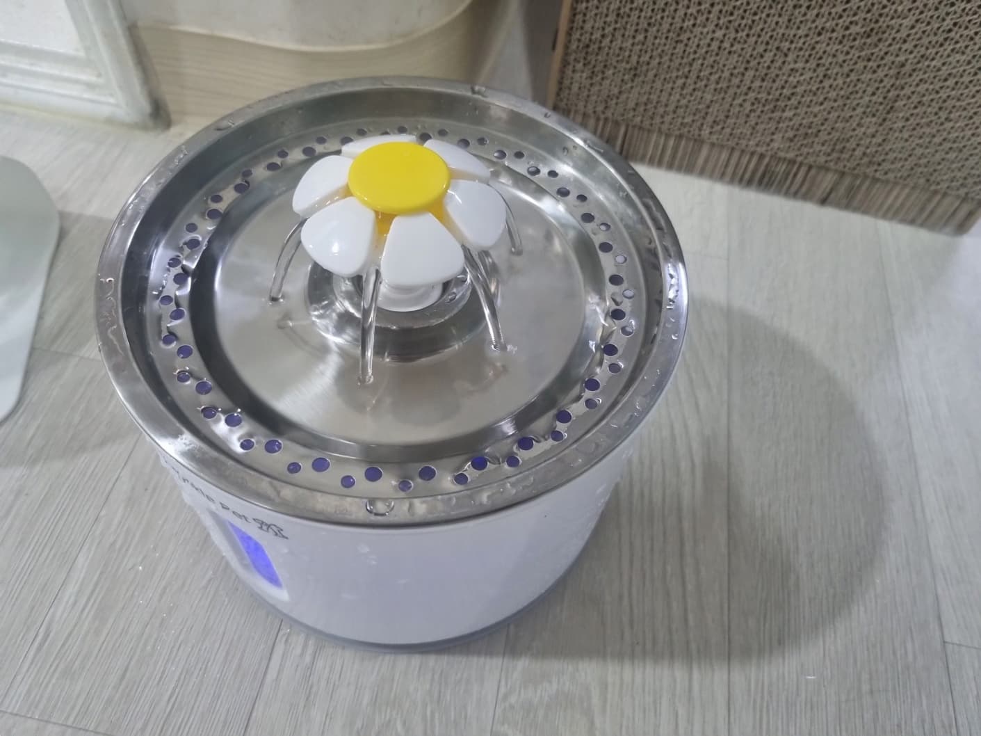 고양이 음수대