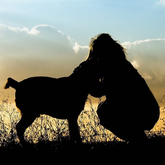 반려동물 죽음 극복