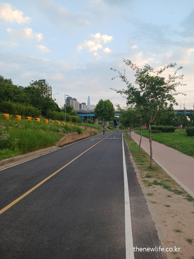 An urban bicycle road leading into the city under the summer sky, representing the hidden risks of heatstroke and the need to distinguish between heatstroke and heat exhaustion./도심으로 이어지는 자전거 도로, 열사병과 일사병의 차이를 알고 대비해야 할 여름철 풍경