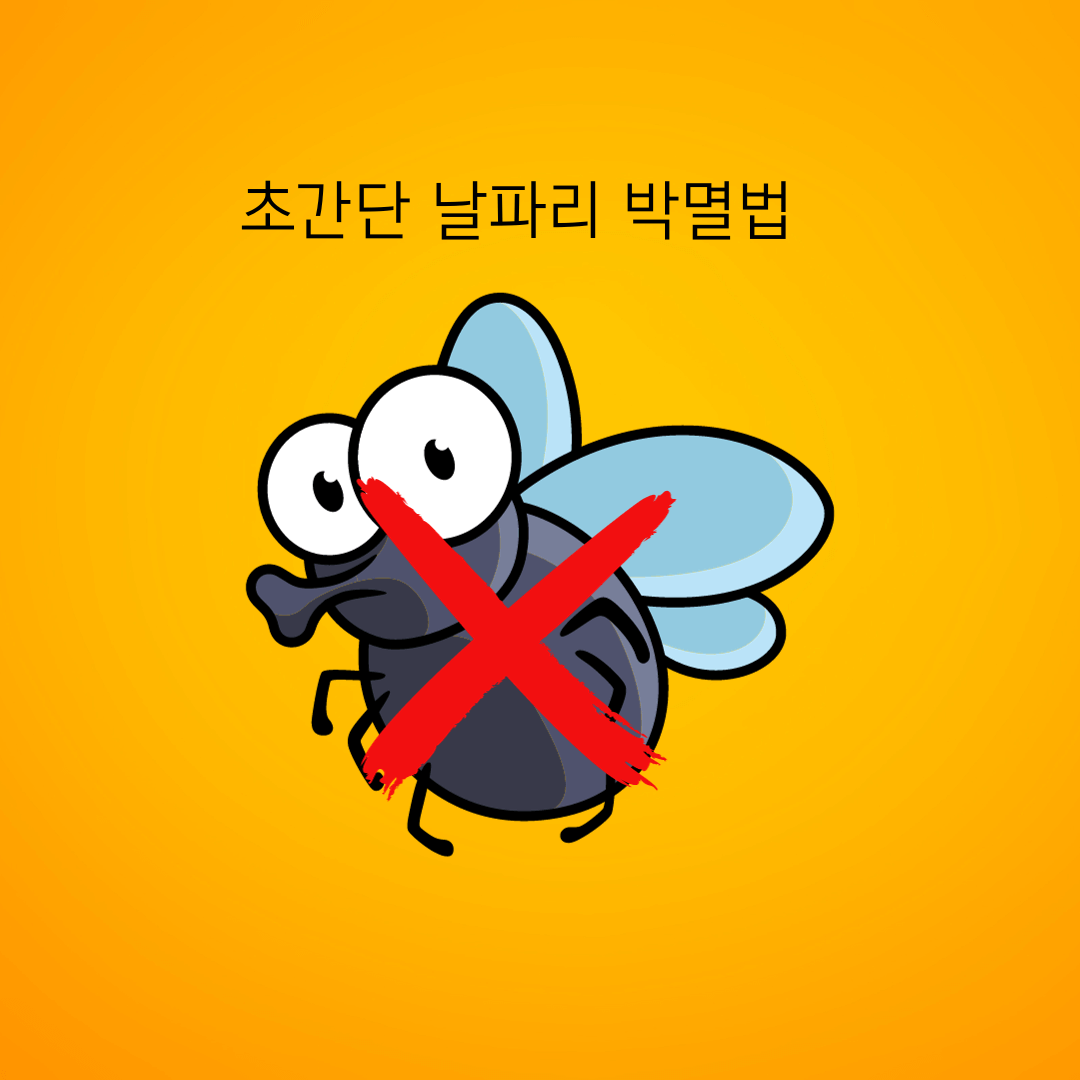 초간단 초파리&#44; 날파리 박멸방법