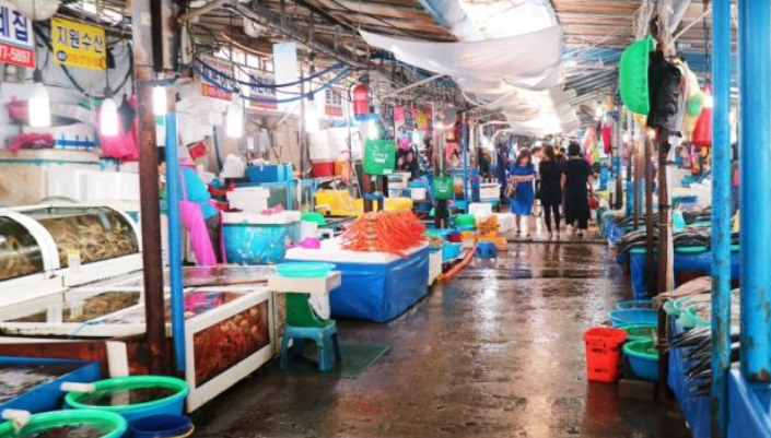 1월 강원도 가볼만한곳 ❘ 국내 겨울 갈만한곳 새해 여행지 추천 ❘ 데이트 여행 가족 실내 나들이 당일치기