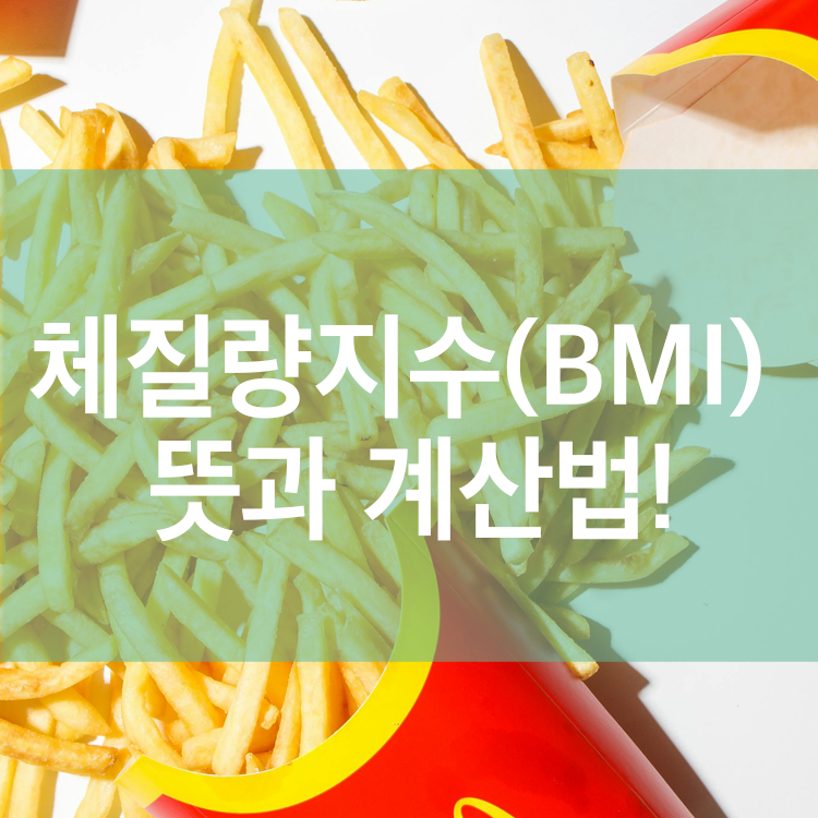 체질량지수(BMI) 뜻과 계산법!