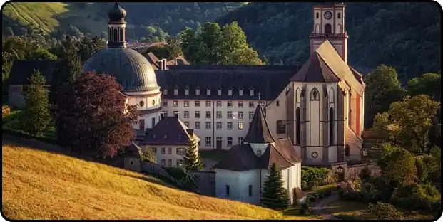 2024 ๋ค๋์ ๊ธฐ๋ํ ๊ฐ์ฌ ๋ฐ ์ผ์ (ํํ์ด์ง์์ ์๋ฐฉ์ก ๋ณด๊ธฐ)