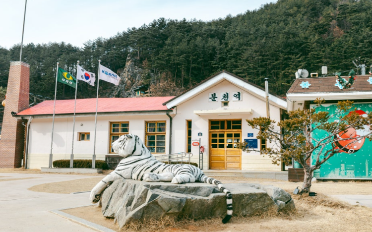 백두대간 협곡열차