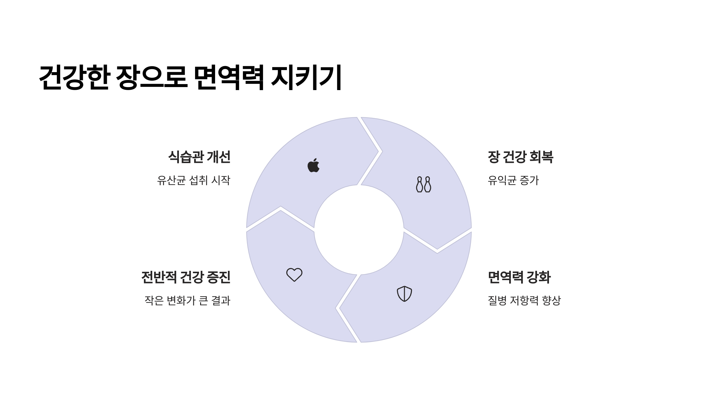 건강한 장으로 면역력 지키기 설명 그림