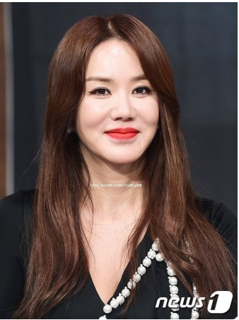 엄정화 콘서트 티켓팅 일정과 공연 일정 기본 정보