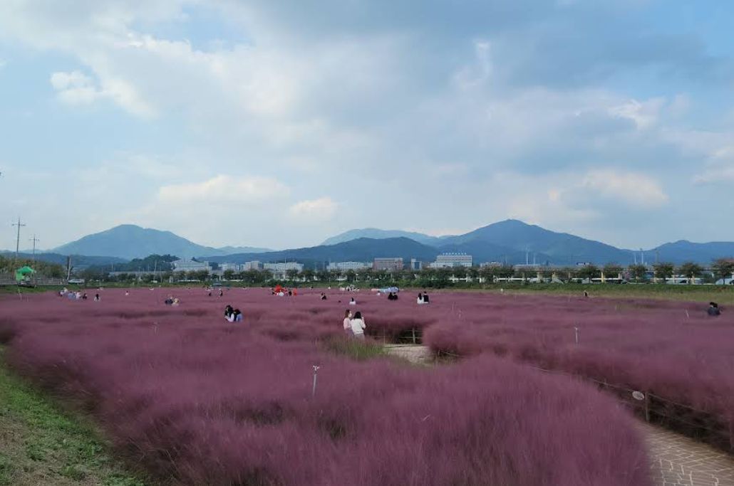 강변공원