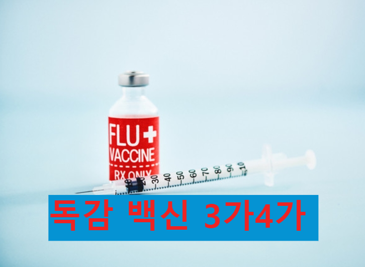 독감예방접종 3가 4가 차이 백신 완전정리