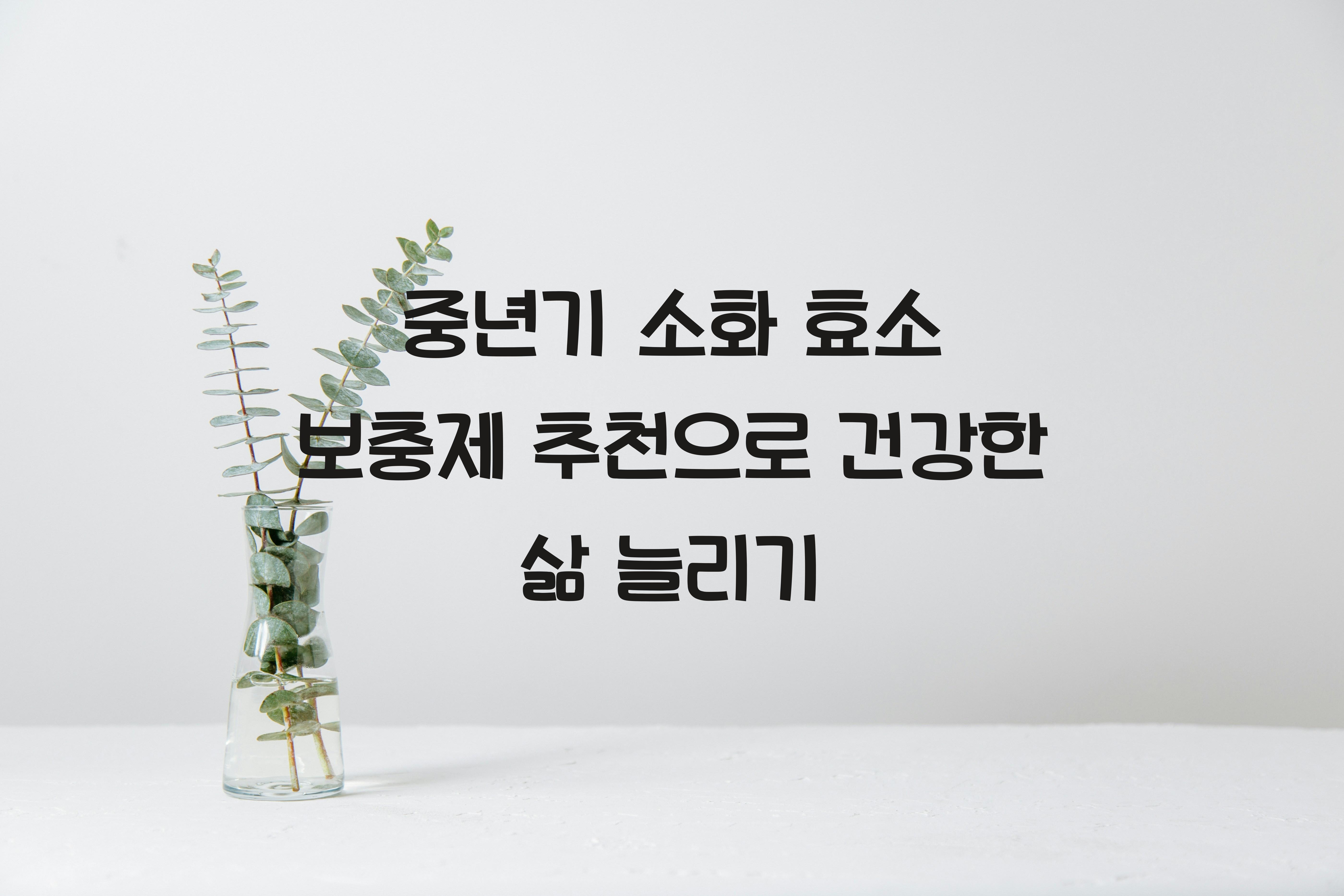 중년기 소화 효소 보충제 추천