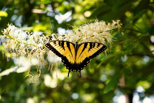 녹내장 진단 검사 비용 안압 검사주기 관리법_7