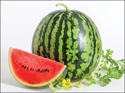 수박의 효능