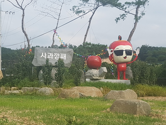 포천 사과깡패
