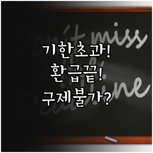 환급 신청 기한 초과 시 추가 구제 ..